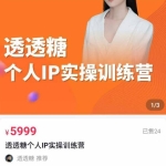 透透糖2023个人IP实操训练营，基础准备+短视频实操+高手进阶+变现落地+数据+电商