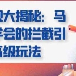 引流变现大揭秘，马上就能学会的拦截引流高级玩法