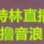 抖音加特林直播间搭建技术，抖音0粉开播，暴力撸音浪，2023新口子，每天800+