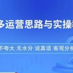 拼多多店铺运营思路与实操教程，快速学会拼多多开店和运营，少踩坑，多盈利