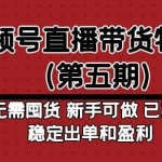 视频号直播带货特训营（第五期）无需囤货，新手可做，已实现稳定出单和盈利