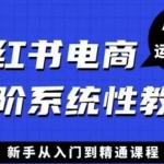 小红书电商高阶系统教程，新手从入门到精通系统课