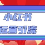 小红书运营引流全系列课程：教你养高权重新号，实操每天引流100精准粉