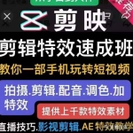 特效罗剪辑特效速成班：一部手机玩转短视频提供上千款特效素材