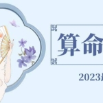 外面卖1888的2023最火算命测算系统对接易支付微信支付宝官方(源码+教程)