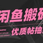 闲鱼优质帖搬砖，单号一天赚个二三十没问题，多号多撸