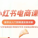 小红书电商新手入门到精通实操课，从入门到精通做爆款笔记，开店运营