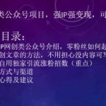 小淘2023网创类公众号项目，强IP强变现，可操作一辈子