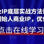 创始人商业IP底层实战方法论，用商业思维打造创始人商业IP，优化变现模式