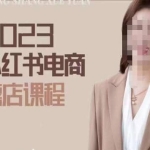 2023小红书电商课，新手小白从0~1玩转小红书薯店电商