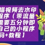 2023橘猫视频去水印微信小程序（带流量主，只需要五分钟即可拥有自己的小程序【源码+教程】