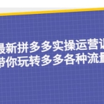 23年最新拼多多实操运营训练营：手把手带你玩转多多各种流量打法！