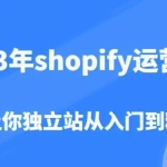 2023年shopify运营课，7天让你独立站从入门到精通（价值1980元）