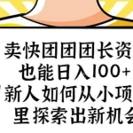 卖快团团团长资料也能日入100+新人如何从小项目里探索出新机会