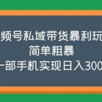 视频号私域带货暴利玩法，简单粗暴，一部手机实现日入300+
