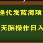 2023最新蓝海快递代发项目，小白零成本照抄也能日入300+