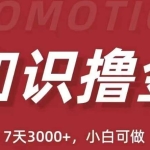 抖音知识撸金项目：简单粗暴日入1000+执行力强当天见收益(教程+资料)