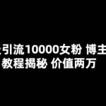 一天引流10000女粉，博主粉教程揭秘（价值两万）