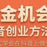 王泽旭·抖音创业方法论，​抖音创业商业认知大课，一站式学会在抖音上做生意