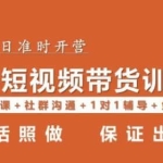 李鲆·短视频带货第16期，一部手机，碎片化时间，零基础也能做，听话照做，保证出单
