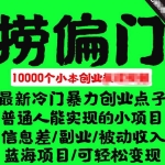 千款捞偏门小本创业小项目，总有一款适合你