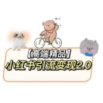 小红书最新引流变现教程，全网最新最详细的视频教程以及素材