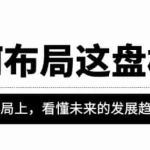 某公众号付费文章《如何布局这盘棋》在浩瀚的棋局上，看懂未来的发展趋势